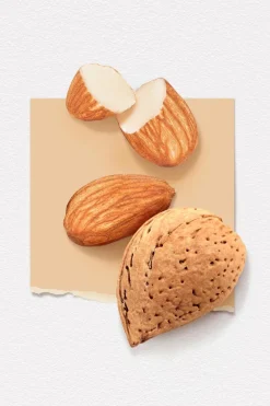 Solinotes Amande Eau de parfum