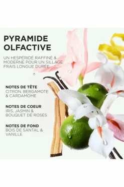 Hot Kérastase Bain crème hydra-illuminant pour cheveux épais sujets aux frisottis Gloss Absolu