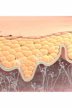 Hot Bioderma Baume hydratant Atoderm Intensive