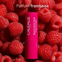 New Caudalie Baume lèvres teinté