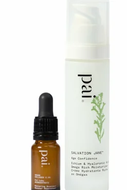 Best PAI Booster repulpant au collagène