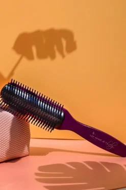 Les Secrets de Loly Brosse démêlante
