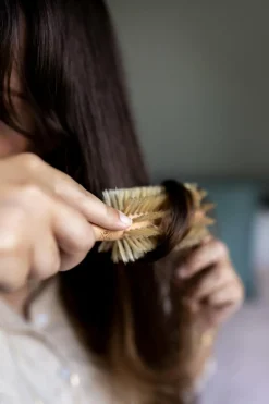 Online Bachca Brosse Ronde