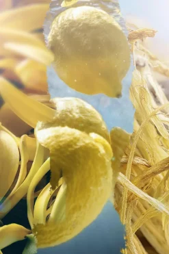 Hot L’ATELIER PARFUM Brume cheveux & corps Hot Splash