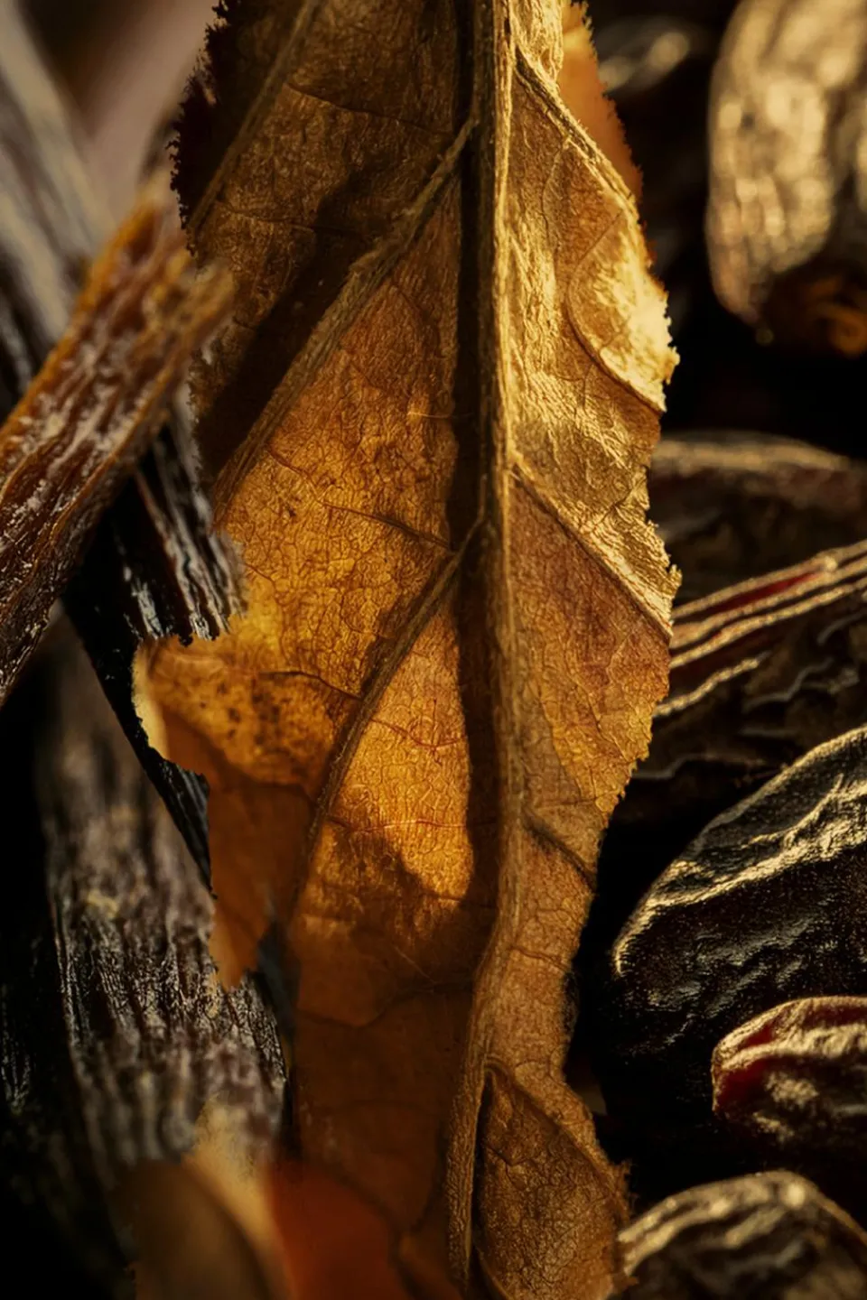 Discount L’ATELIER PARFUM Brume cheveux & corps Tobacco Volute