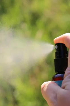 New Lueur Du Sud Brume cheveux nourrissante au Monoï