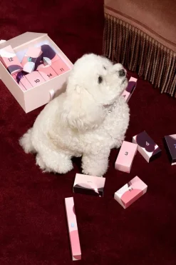 Best Manucurist Calendrier de l’avent manucure All that glitters