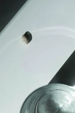 POMÉOL Complément alimentaire brûleur de graisse