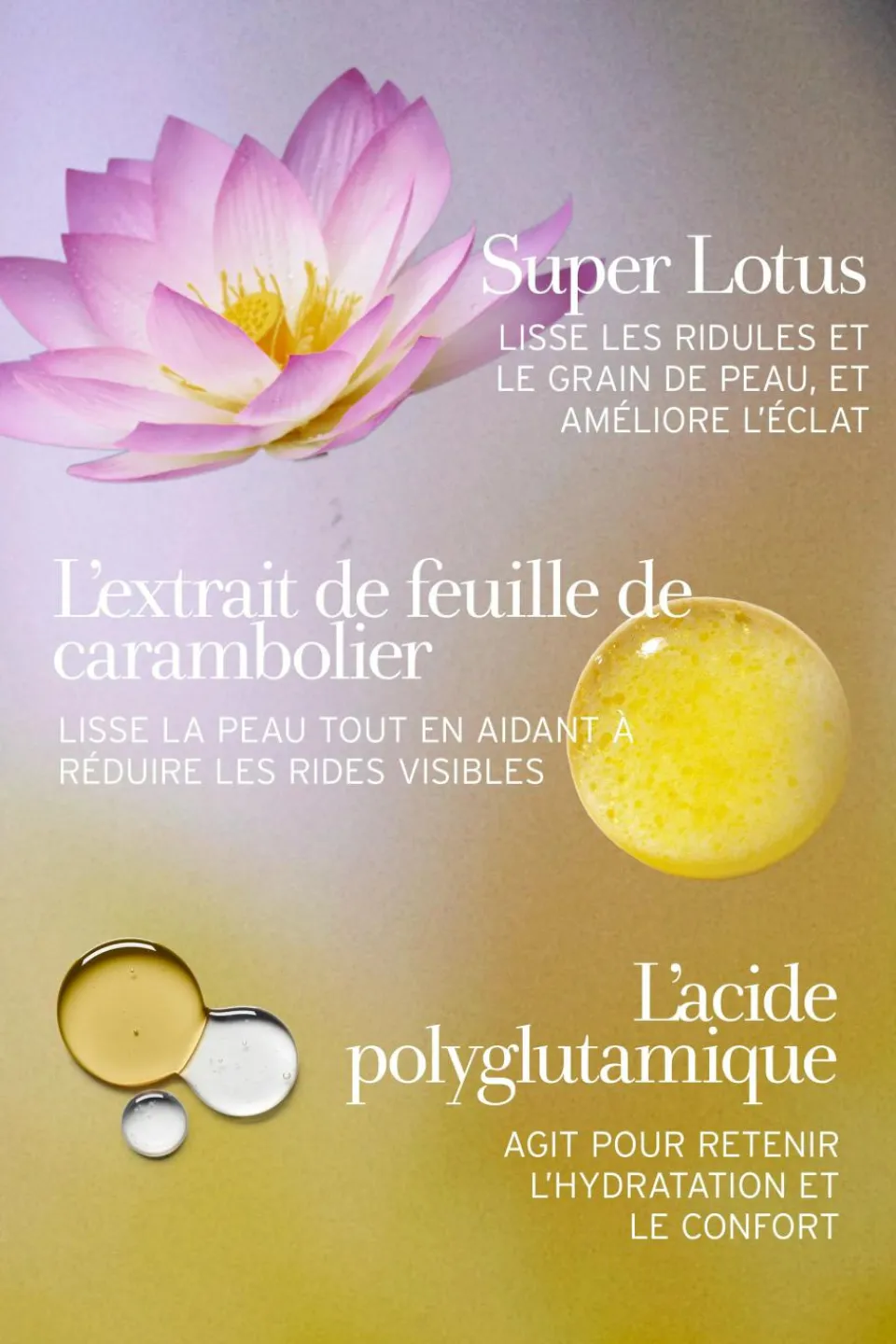 Sale Fresh Crème de jour au lotus et à la vitamine E