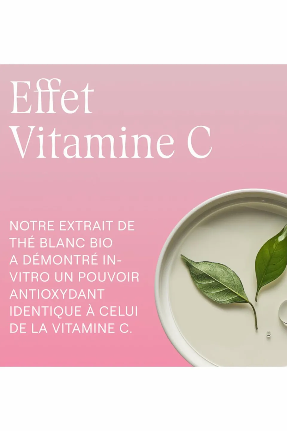 Clearance Weleda Crème de jour lissante rose musquée & thé blanc