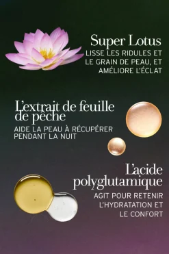 Clearance Fresh Crème de nuit au lotus et à la vitamine E