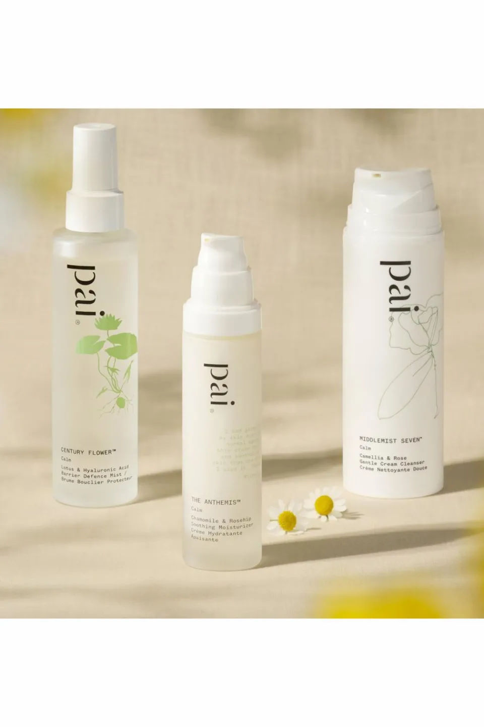 PAI Crème hydratante asante The Anthemis