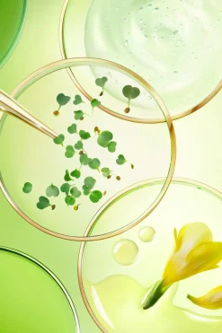 Outlet Nuxe Crème nuit anti-âge global Nuxuriance Ultra