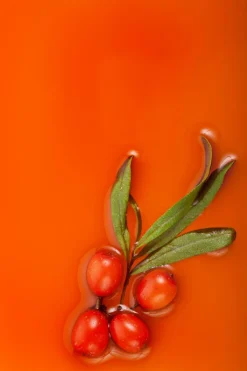 Online Natura Siberica Crème pieds à l’argousier
