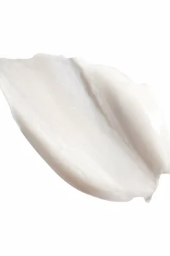 New Erborian Crème visage lissante & anti-rides Ginseng Power