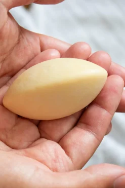 New Bélice Démaquillant Solide Colibri