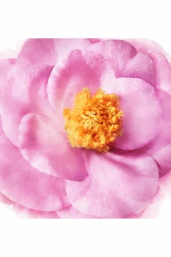 Sale Nuxe Démêlant Brillance Miroir Hair Prodigieux®