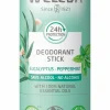 Online Weleda Déodorant stick eucalyptus peppermint
