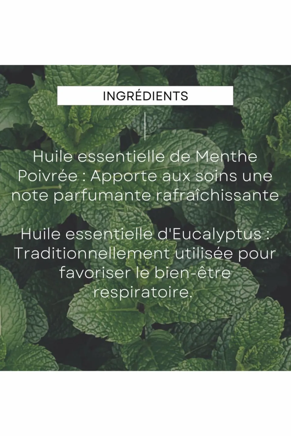 Online Weleda Déodorant stick eucalyptus peppermint