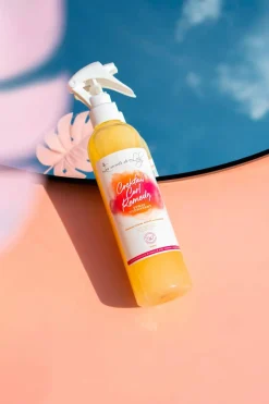 New Les Secrets de Loly Duo de soins sans rinçage hydratant et réparateur pour cheveux secs et abîmés