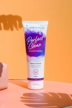 Les Secrets de Loly Duo shampoing et après-shampoing pour cheveux déshydratés