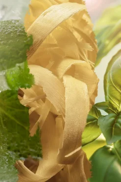 New L’ATELIER PARFUM Eau de parfum Green Crush