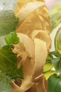 New L’ATELIER PARFUM Eau de parfum Green Crush