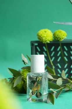 New Maison Matine Eau de parfum Into the Wild