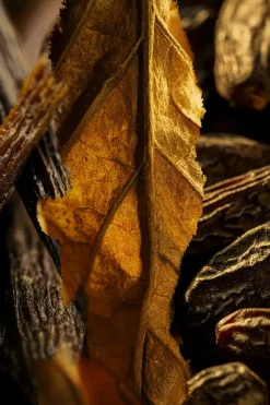 Discount L’ATELIER PARFUM Eau de parfum Tobacco Volute