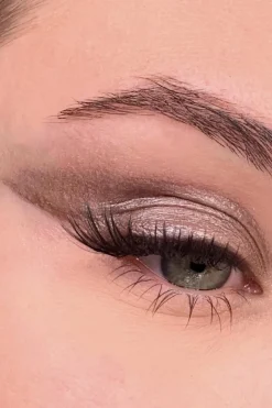 Discount All Tigers Fard à paupières naturel & vegan