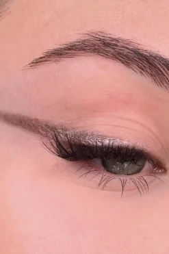 Discount All Tigers Fard à paupières naturel & vegan