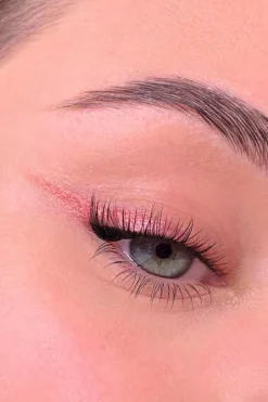 Discount All Tigers Fard à paupières naturel & vegan