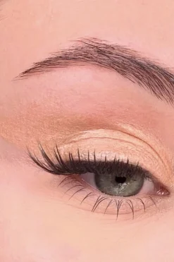 Discount All Tigers Fard à paupières naturel & vegan