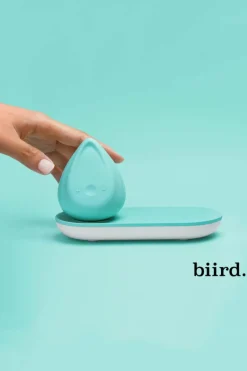 Outlet BIIRD Galet vibrant Evii