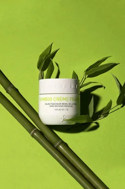 Hot Erborian Gelée fraîcheur Crème Frappée Bamboo
