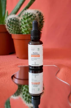 Sale Clémence et Vivien Gouttes autobronzantes pour visage