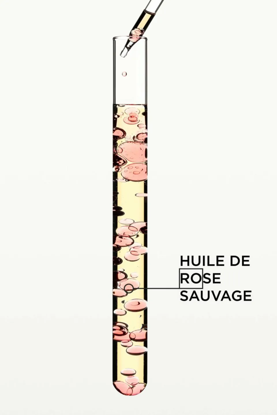 Best Kérastase Huile Gloss Absolu