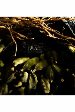 Best Yves Saint Laurent La Nuit de L’Homme Eau de Toilette