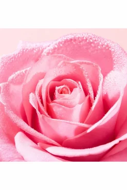 Clearance Nuxe Mousse aérienne nettoyante Very Rose