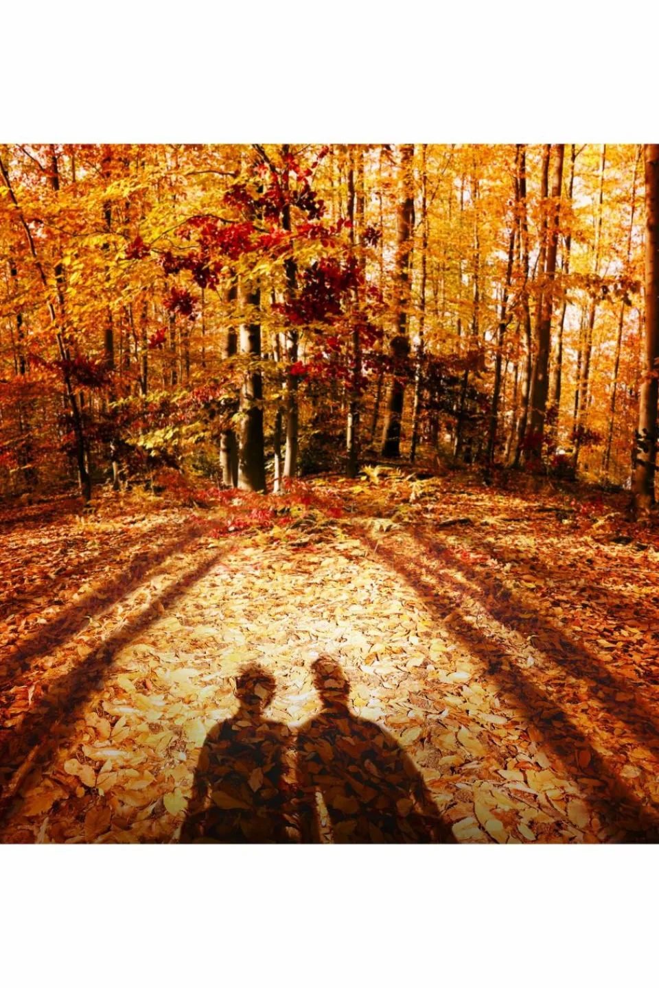 Hot Maison Margiela REPLICA Autumn Vibes Eau De Toilette