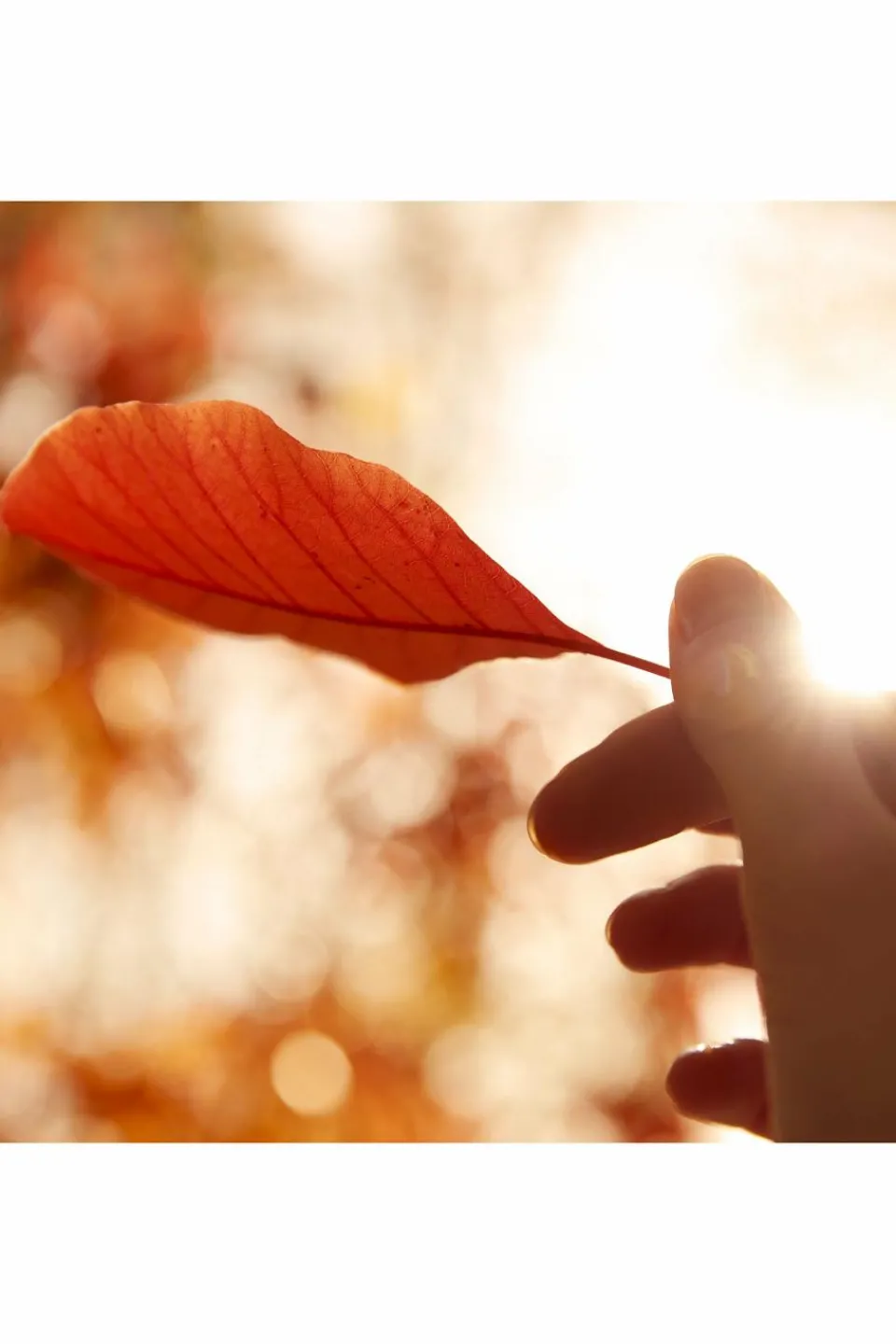 Hot Maison Margiela REPLICA Autumn Vibes Eau De Toilette