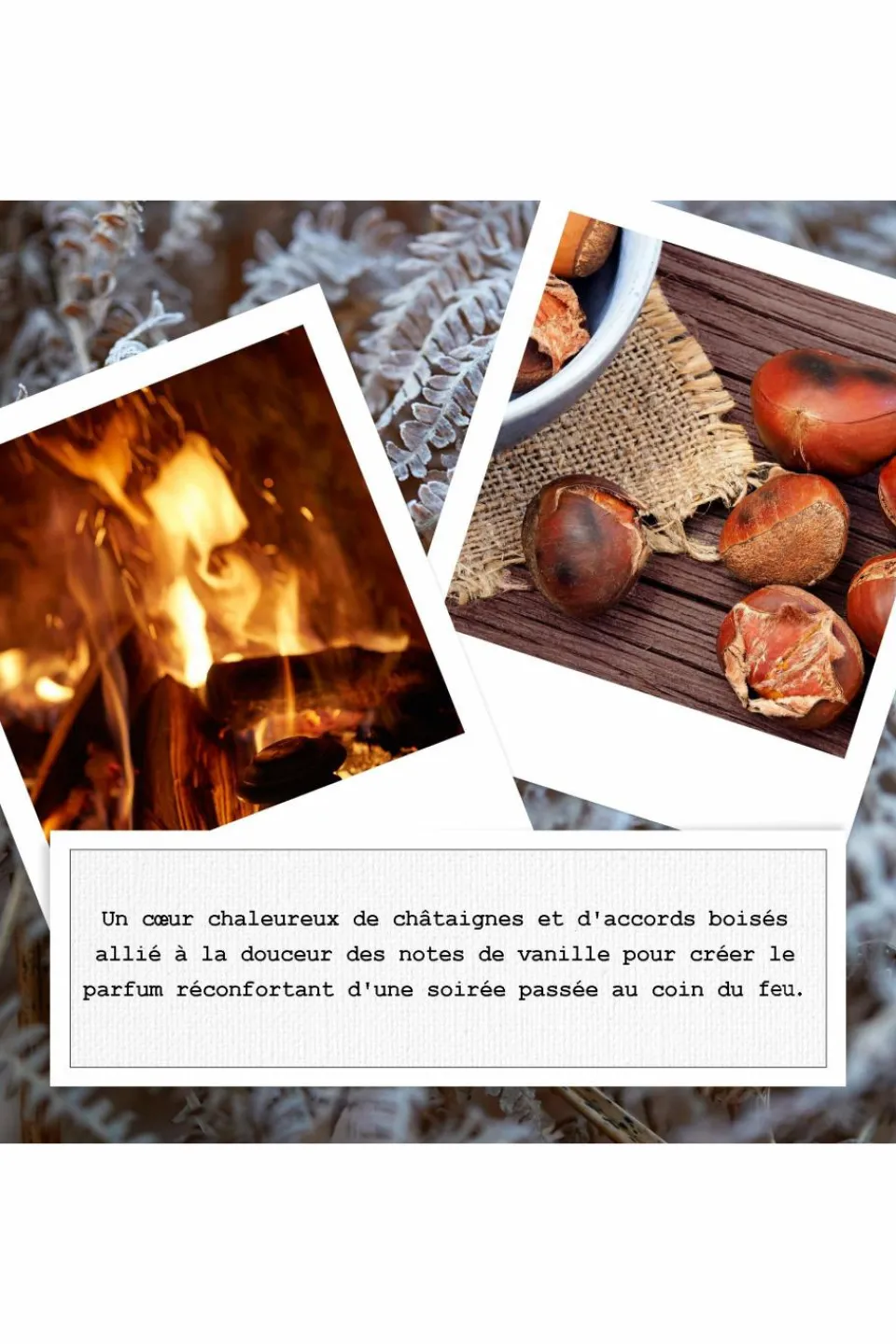 Maison Margiela REPLICA By the Fireplace Eau De Toilette Boisé