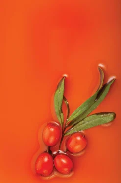 Sale Natura Siberica Sels de bain anti-stress