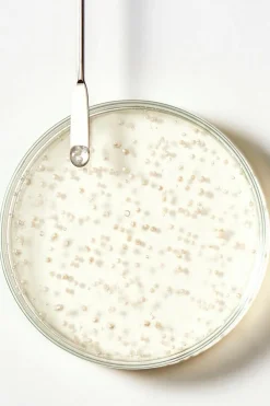 Best René Furterer Shampoing antichute Triphasic