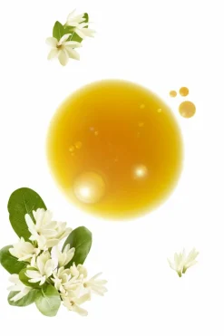 Online Klorane Shampoing douche après-soleil au Monoï