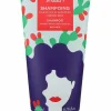 Clearance Shaeri Shampoing doux