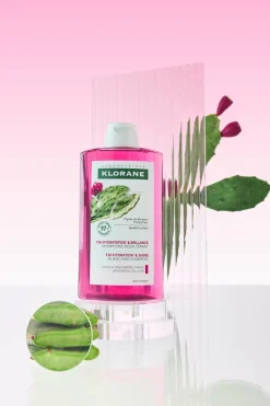 Outlet Klorane Shampoing désaltérant 72h au Figuier de barbarie