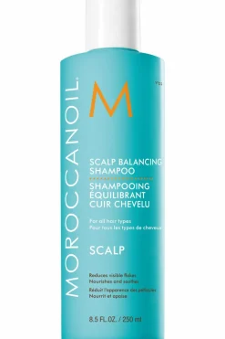 New Moroccanoil Shampoing équilibrant cheveux gras