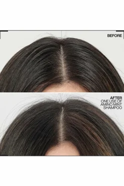 Redken Shampoing racines grasses pointes sèches Amino Mint