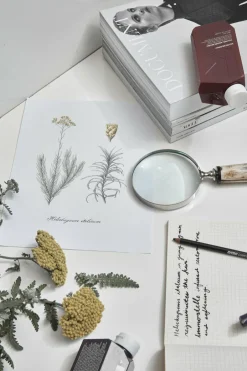 Sale KEVIN.MURPHY Shampoing réparateur et adoucissant YOUNG.AGAIN.WASH